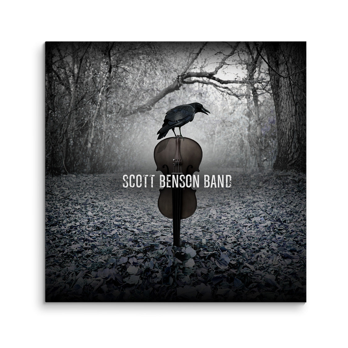 Scott Benson Band Debut CD